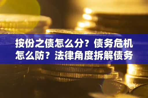 武汉按份之债怎么分？债务危机怎么防？法律角度拆解债务分配与风险自保指南
