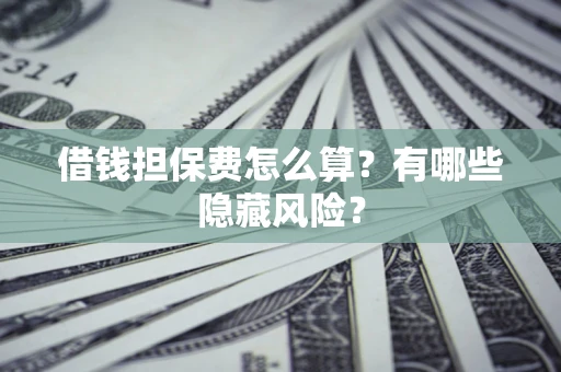 武汉借钱担保费怎么算？有哪些隐藏风险？