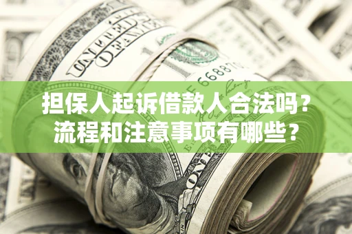 武汉担保人起诉借款人合法吗？流程和注意事项有哪些？
