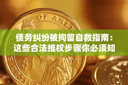 武汉债务纠纷被拘留自救指南：这些合法维权步骤你必须知道！