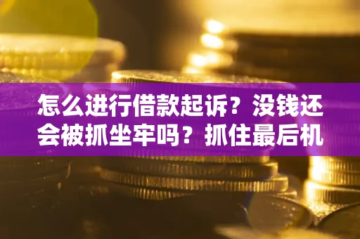 武汉怎么进行借款起诉？没钱还会被抓坐牢吗？抓住最后机会！