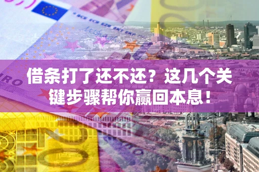 武汉借条打了还不还？这几个关键步骤帮你赢回本息！