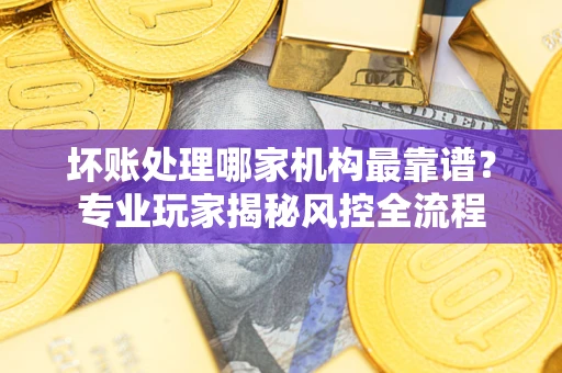 武汉坏账处理哪家机构最靠谱？专业玩家揭秘风控全流程