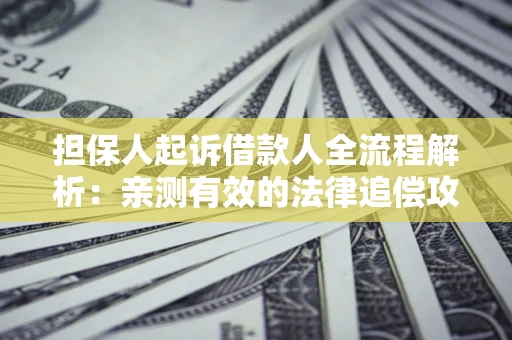 武汉担保人起诉借款人全流程解析：亲测有效的法律追偿攻略