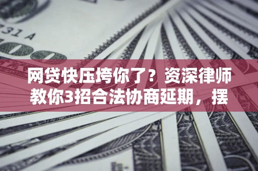 武汉网贷快压垮你了？资深律师教你3招合法协商延期，摆脱暴力催收！
