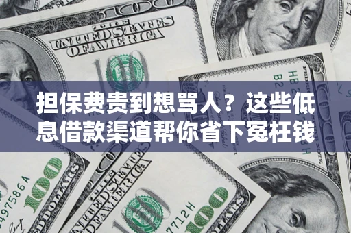 武汉担保费贵到想骂人？这些低息借款渠道帮你省下冤枉钱