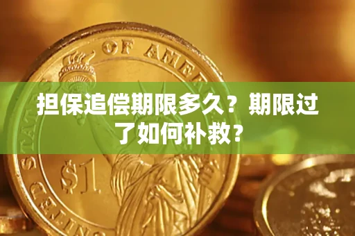武汉担保追偿期限多久？期限过了如何补救？