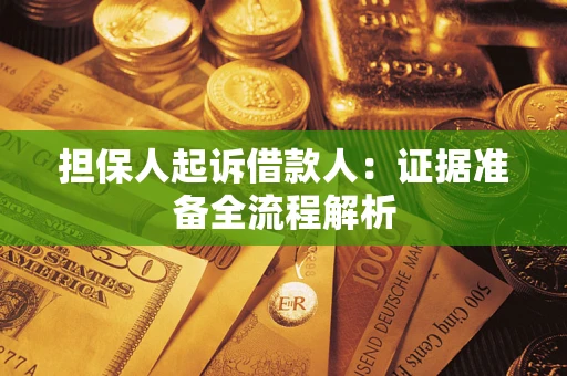 武汉担保人起诉借款人：证据准备全流程解析