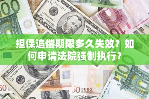 武汉担保追偿期限多久失效？如何申请法院强制执行？
