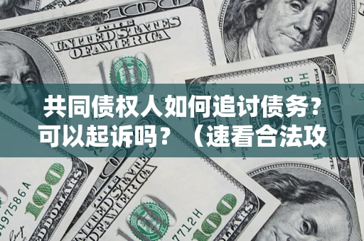 武汉共同债权人如何追讨债务？可以起诉吗？（速看合法攻略）