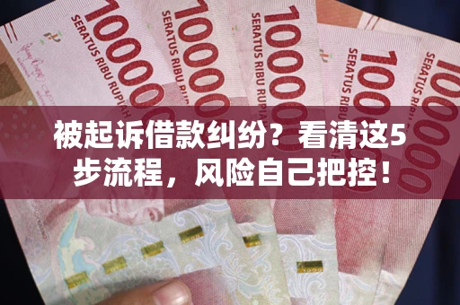 武汉被起诉借款纠纷？看清这5步流程，风险自己把控！