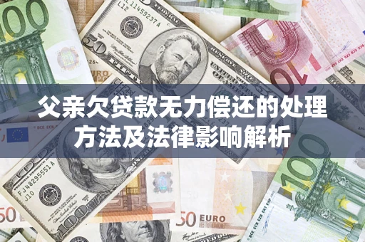 武汉父亲欠贷款无力偿还的处理方法及法律影响解析