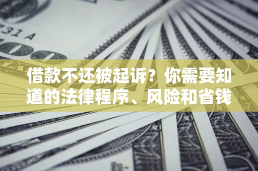 武汉借款不还被起诉？你需要知道的法律程序、风险和省钱技巧
