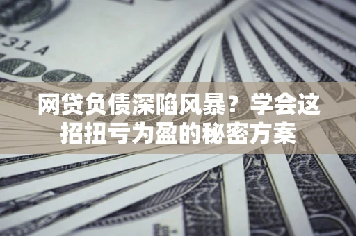 武汉网贷负债深陷风暴？学会这招扭亏为盈的秘密方案