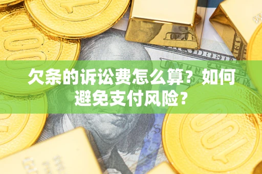 武汉欠条的诉讼费怎么算？如何避免支付风险？